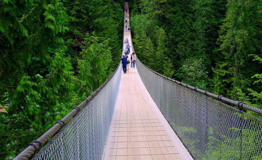 Tourism Capilano Suspension Bridge