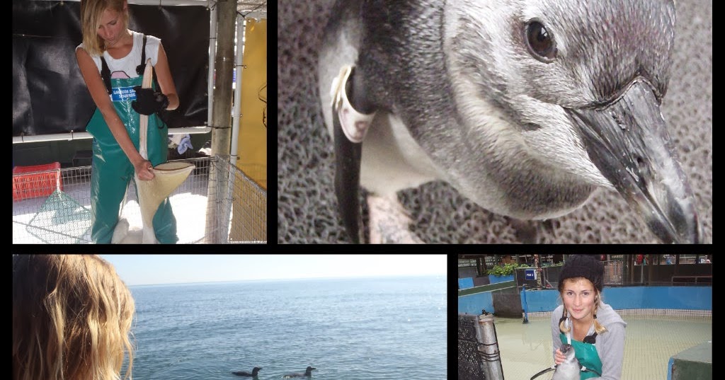 School of Biological Sciences, Plymouth University PPPick up a