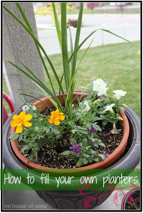 House of Noise&hellip; I mean boys. How to fill a planter