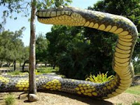 Biggest snake in the world Biggest snake in the world