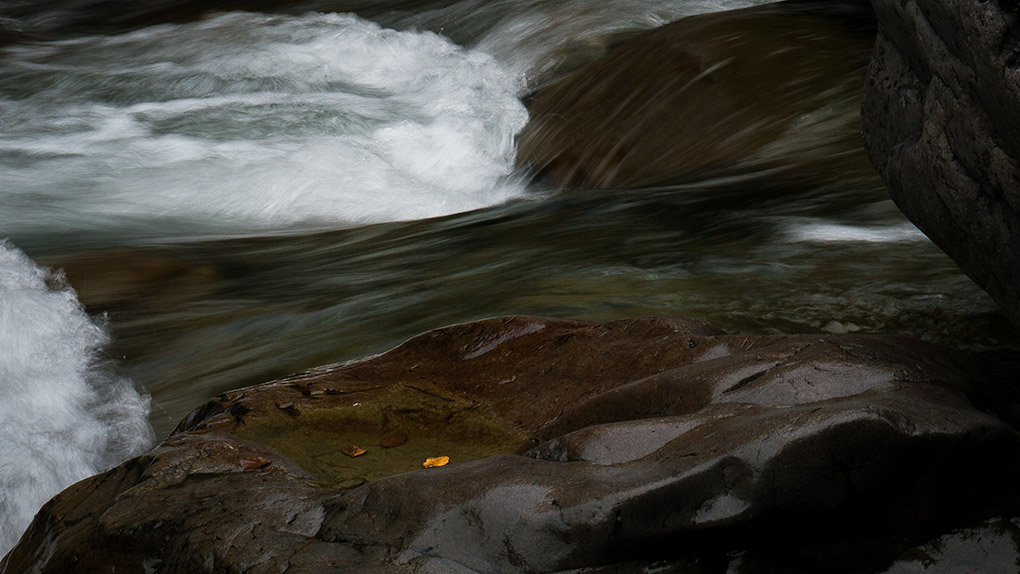 Gold in the river