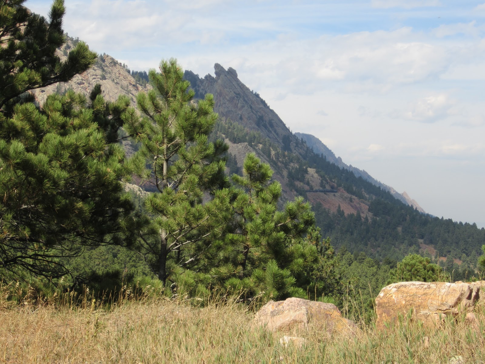 Trail and Park Reviews Hiking a social trail in Coal Creek Canyon