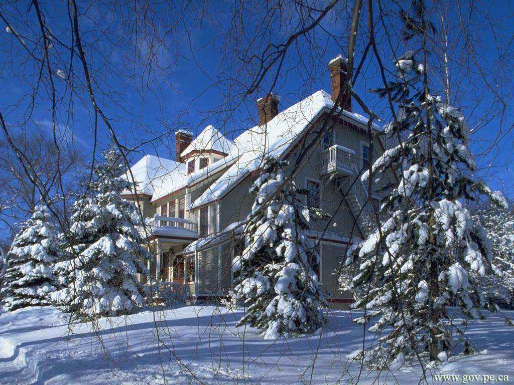 http://4.bp.blogspot.com/-Q617_les8-E/TmcHlT8uYAI/AAAAAAAACIs/snOhcke1_wg/s1600/7235.jpg