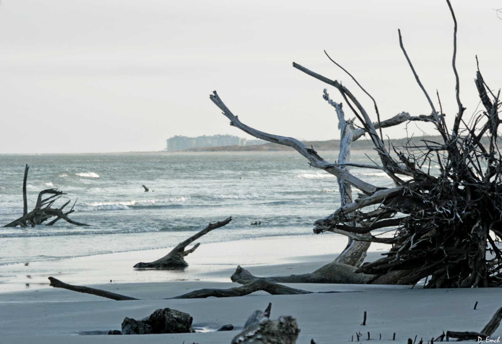 Capture America Journal 4/7/14 Capers Island