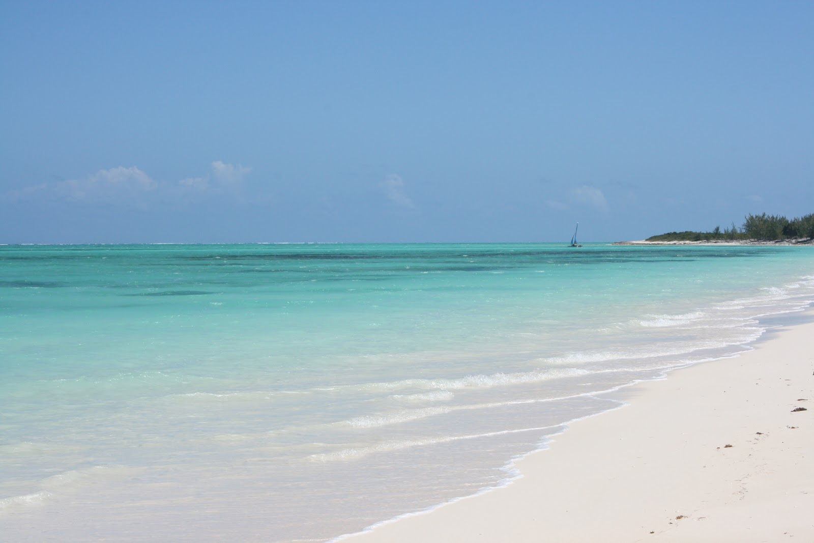 Barracuda Beach Bar and Grill Barracuda Beach Bar and Grill