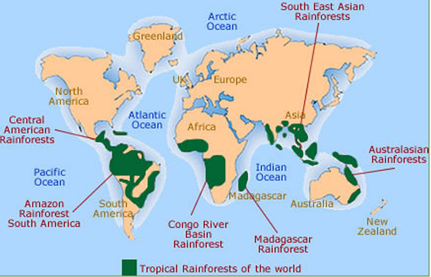 an introduction to the history of the rain forest Tropical rainforest destruction “more fires were recorded in that year than at any time in history- millions of of all the tropical rain forest. an introduction to the history of the rain forest Tropical rainforest destruction “more fires were recorded in that year than at any time in history- millions of of all the tropical rain forest.