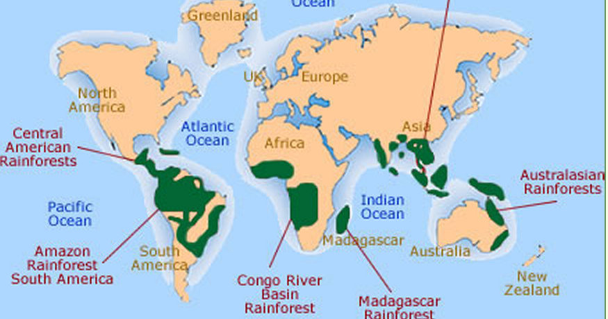 Tropical Rainforest of Australia: Tropical Rainforest of Australia