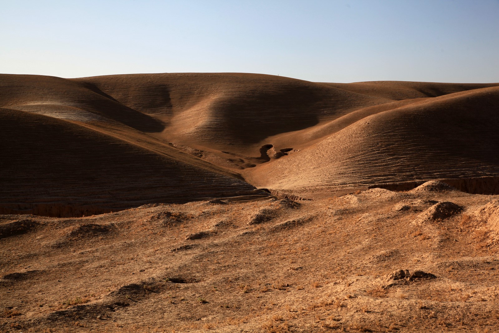 rencontre a abu dhabi