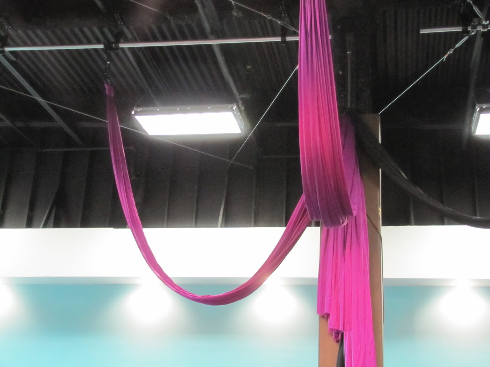 The Kelly Connection Aerial Silk!