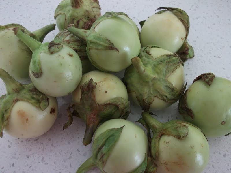 Fuzz Free Food Pickled eggplants