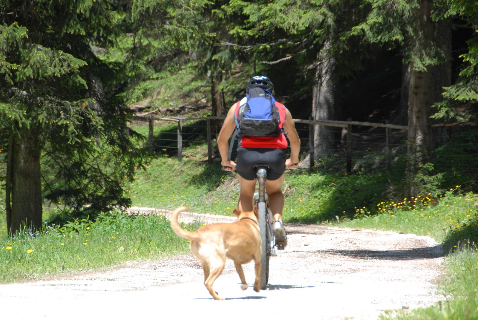 Urlaub mit Hund April 2011