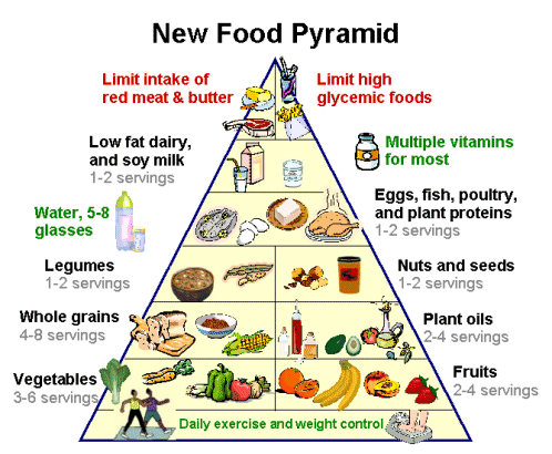 The Food Pyramid