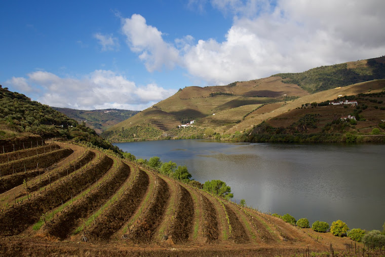 VALLE DEL DOURO (PORTOGALLO 2019)