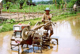 Intensification Of Agriculture