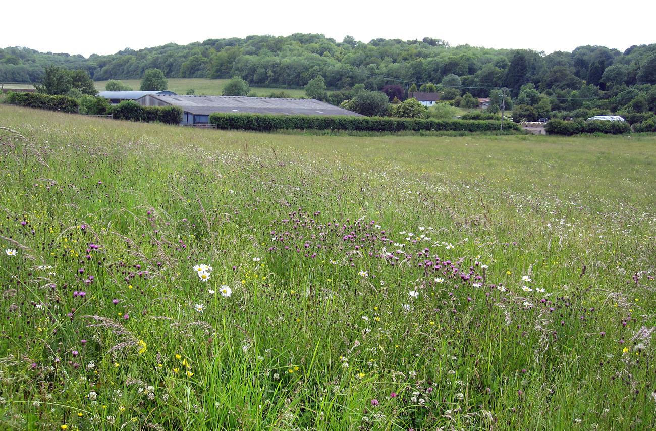 Bottom Barn Farmhouse