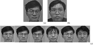 Hair Geometry Synthesis