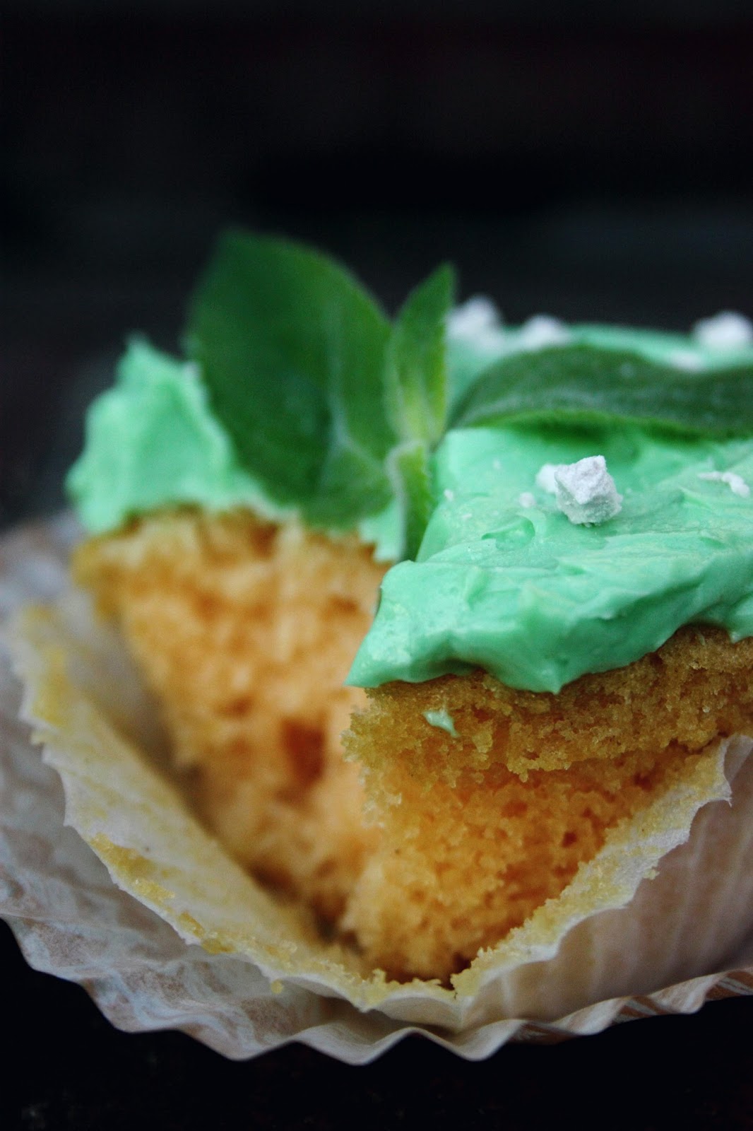 everything is poetry rose cupcakes with mint buttercream