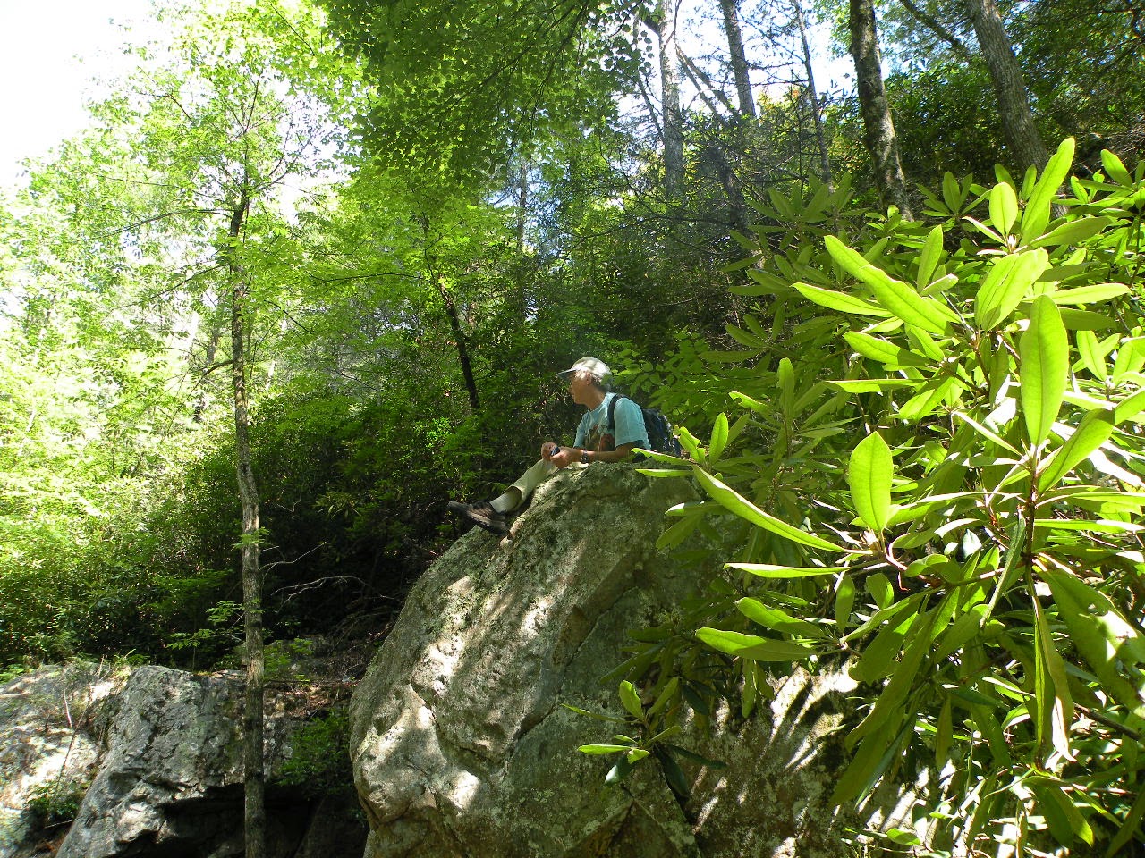 Cumberland Gal Bullett Creek & Yellow Creek Falls