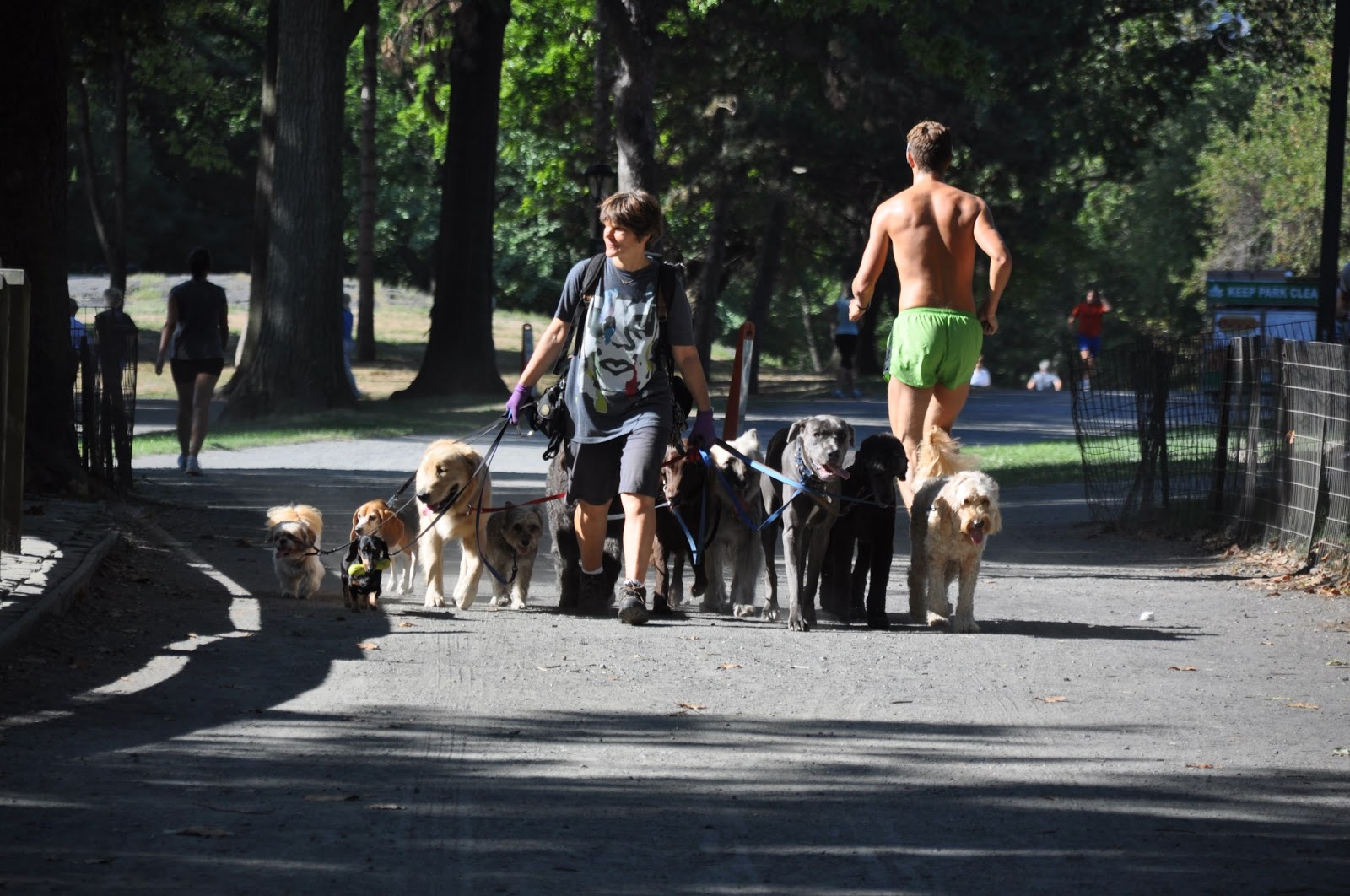La passeggiata lungolago è piena di gente che fa jogging e nei viali incontriamo anche un dog sitter: è tutto molto "americano". 