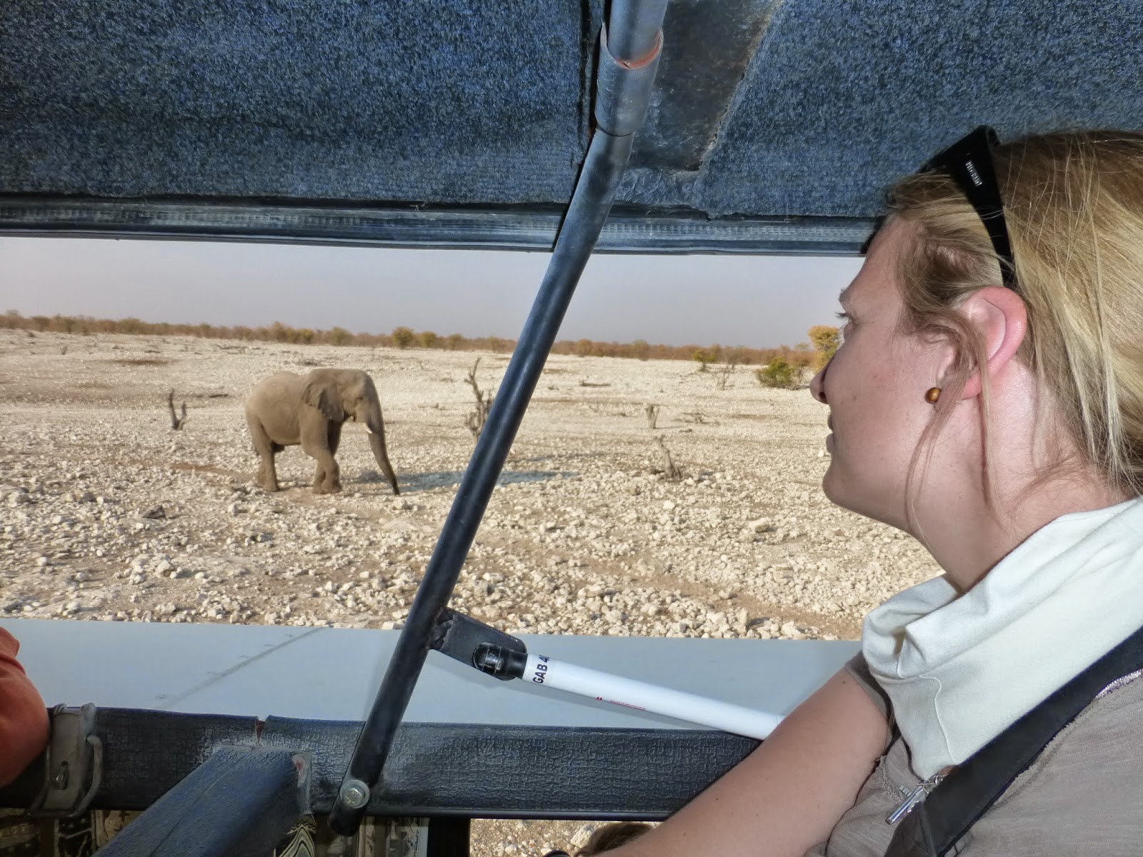 Travel texte reiten und reisen: gruppen rundreise in namibia ...
