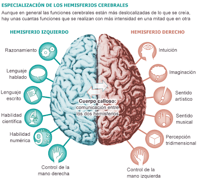 http://sociedad.elpais.com/sociedad/2013/04/05/actualidad/1365175865_448281.html