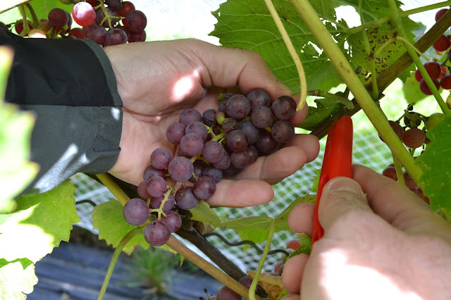 rencontre femme lanaudiere