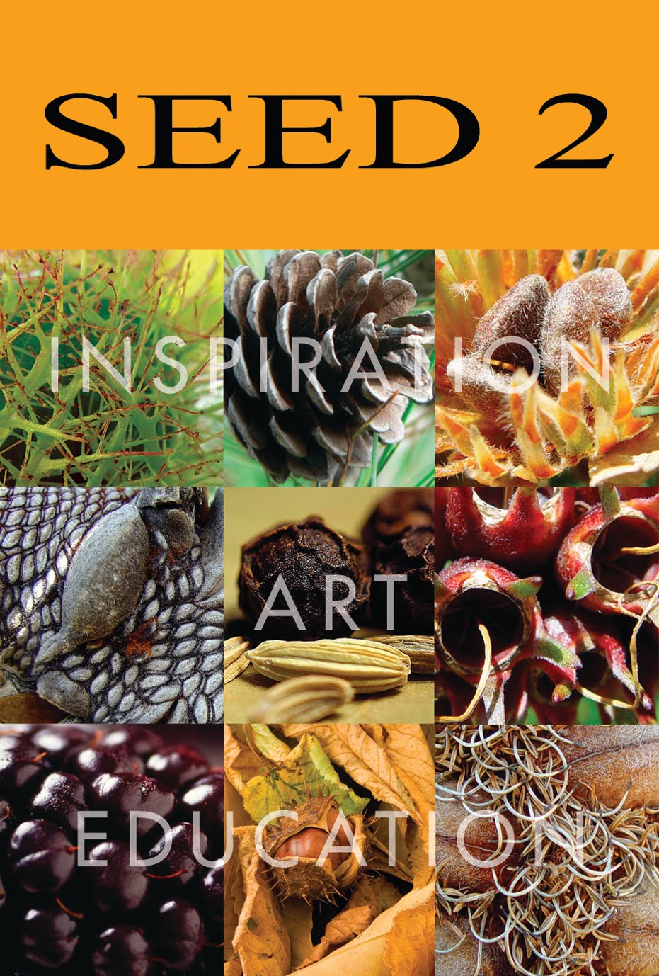 http://www.seedtaos.org/p/seed-2010.html