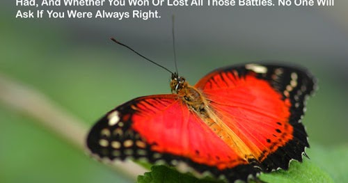 life inspiration quotes: Emotional quotes about life battles