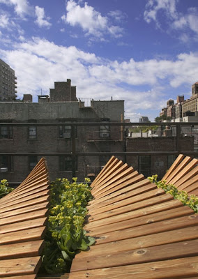 Ejemplo de una buena terminación Como decorar las terrazas con maderas y plantas en New York