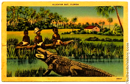 1900sc_postcard-alligator_01.jpeg