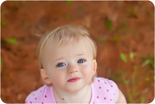 Bouncing Butterflies | Children’s Photography Janesville, WI