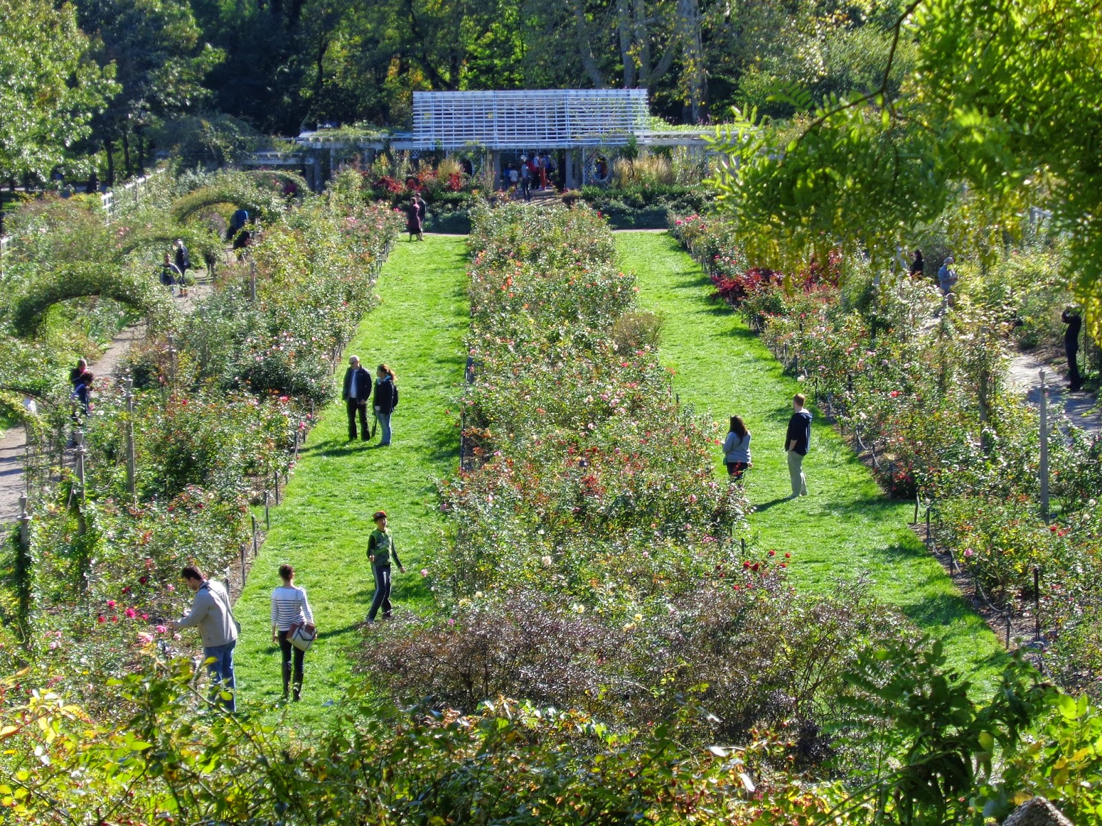 American Dream Finder Day Trip Diary Brooklyn Botanical Garden