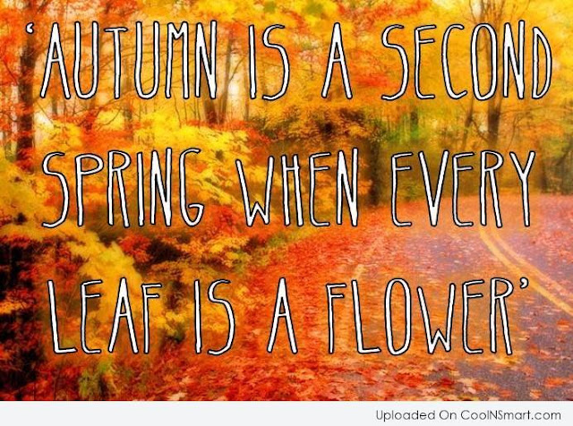 Autumn Quotes And Sayings3
