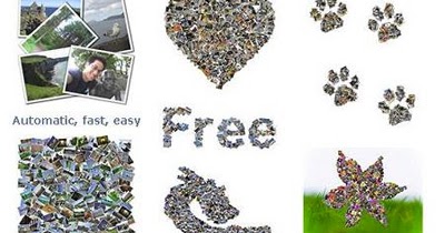 Shape collage pro 3.1 license key text Shape collage pro 3.1 license key text