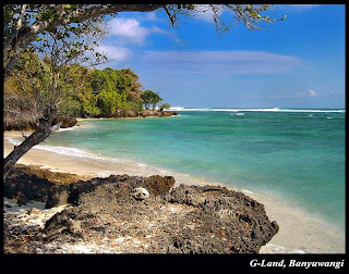 sewa mobil pantai plengkung