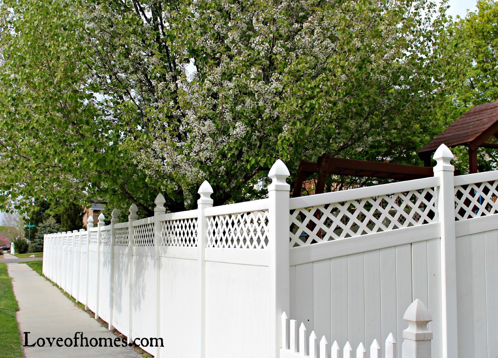 LOVE OF HOMES How To Remove Spray Paint From A Vinyl Fence