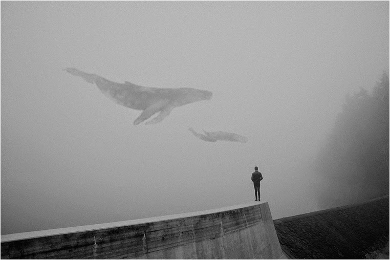 Emerging Photographers, Best Photo of the Day in Emphoka by Martin Vlach, https://flic.kr/p/hBVbTJ Emerging Photographers, Best Photo of the Day in Emphoka by Martin Vlach, https://flic.kr/p/hBVbTJ