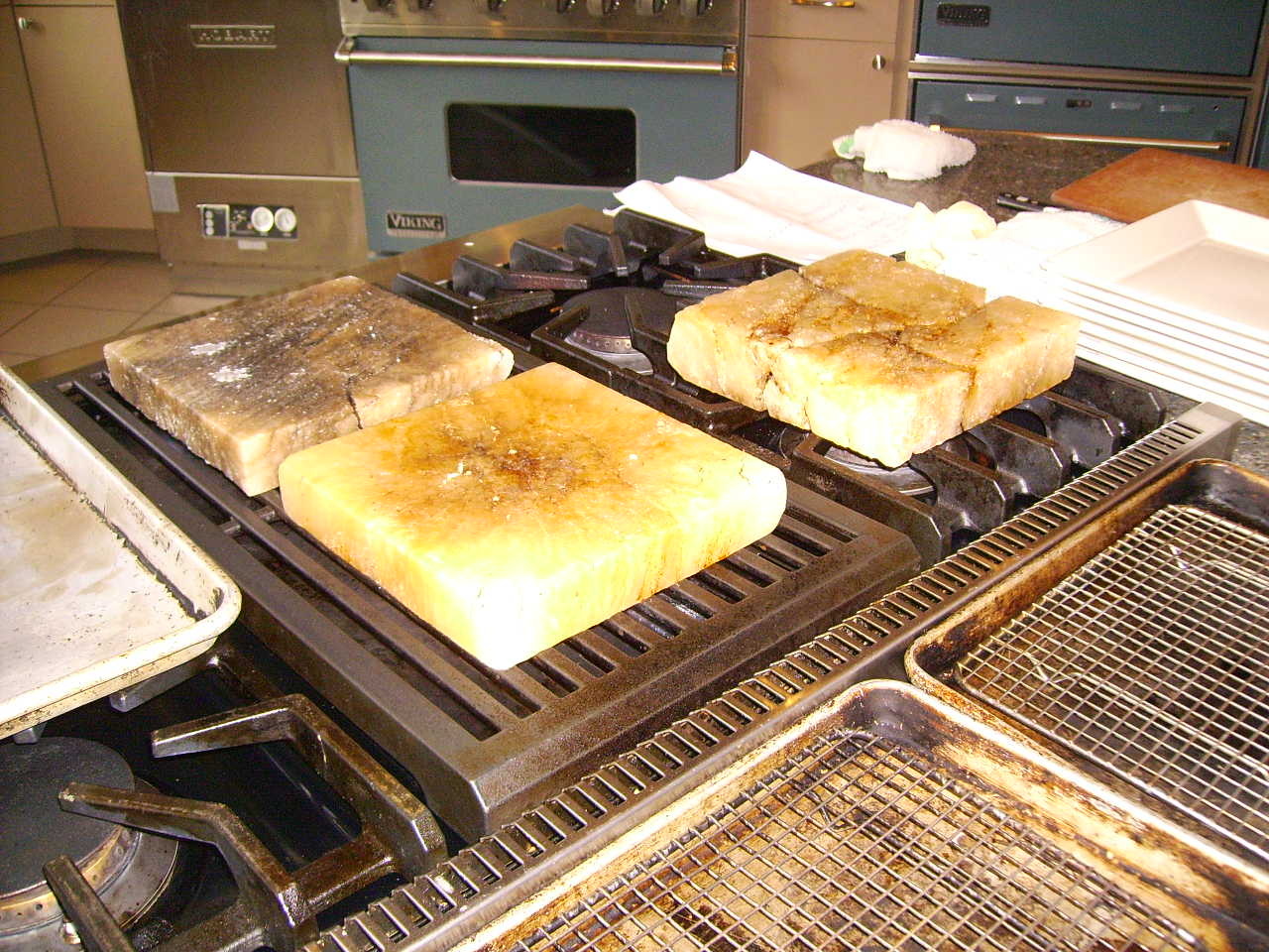 Ocean Springs 365 Himalayan Salt Block Cooking at the Mary C. O'Keefe