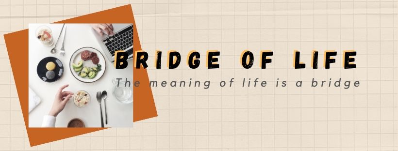 BRIDGE OF LIFE
