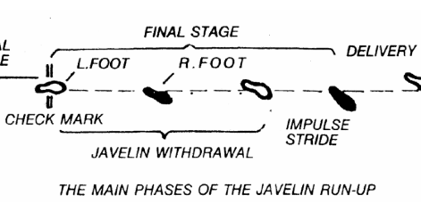 biomechanics of throwing of a javelin essay Home a level and ib physical education biomechanics javelin throw during the approach the javelin & torso of the athlete are showing linear motion by. biomechanics of throwing of a javelin essay Home a level and ib physical education biomechanics javelin throw during the approach the javelin & torso of the athlete are showing linear motion by.
