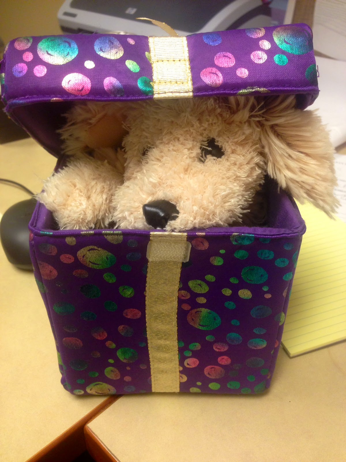 Flannel Friday Little Pet in a Box