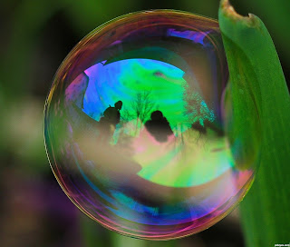 http://www.pxleyes.com/photography-picture/50a9ead877cf5/Reflection.html Reflection bubble on a leaf