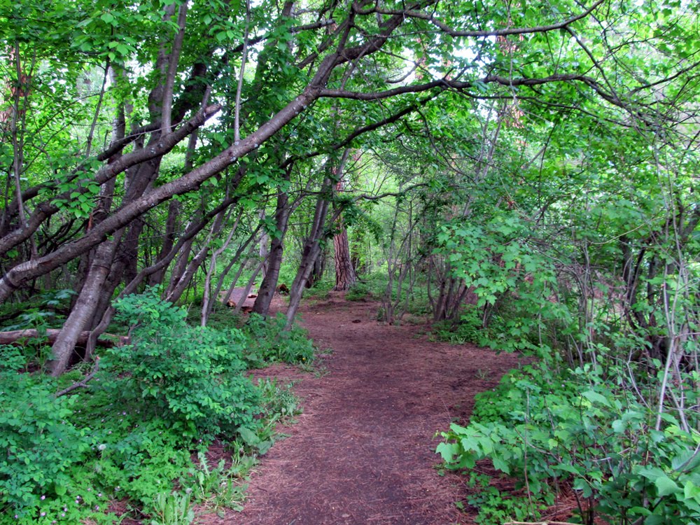 Greenough Park Missoula