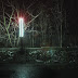 night visions II.