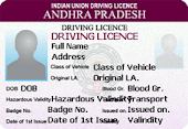 SEARCH DRIVING LICENCE