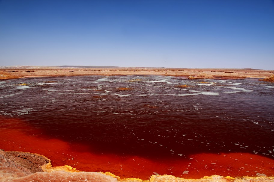 Algal bloom red tide algae athomeDer