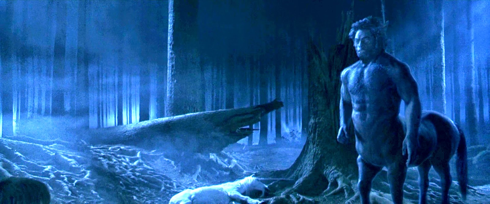 Harry Potter. El Bosque Prohibido.