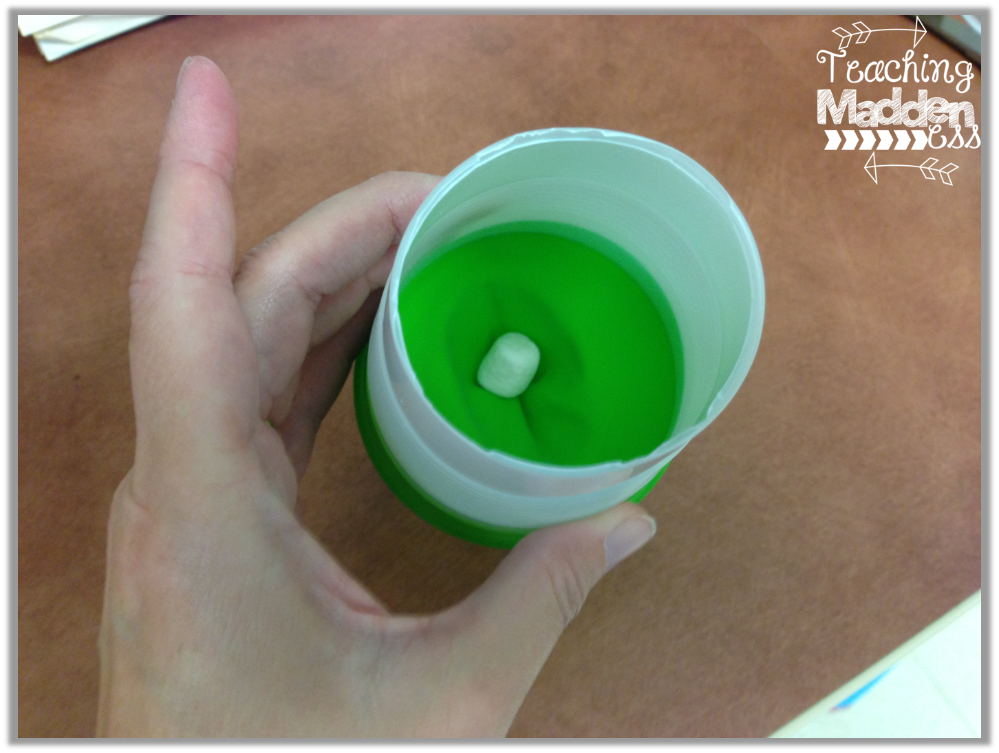 Marshmallow Shooters {Force & Motion} & a Freebie Owlways Be Inspired