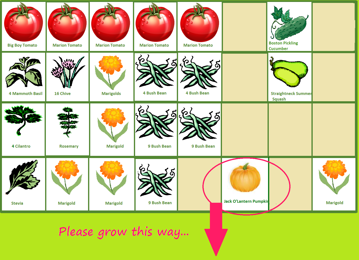 Sow It Grow Eat May 2018 - Square Foot Gardening Spacing Marigold Sow It Grow Eat May 2018 - Square Foot Gardening Spacing Marigold