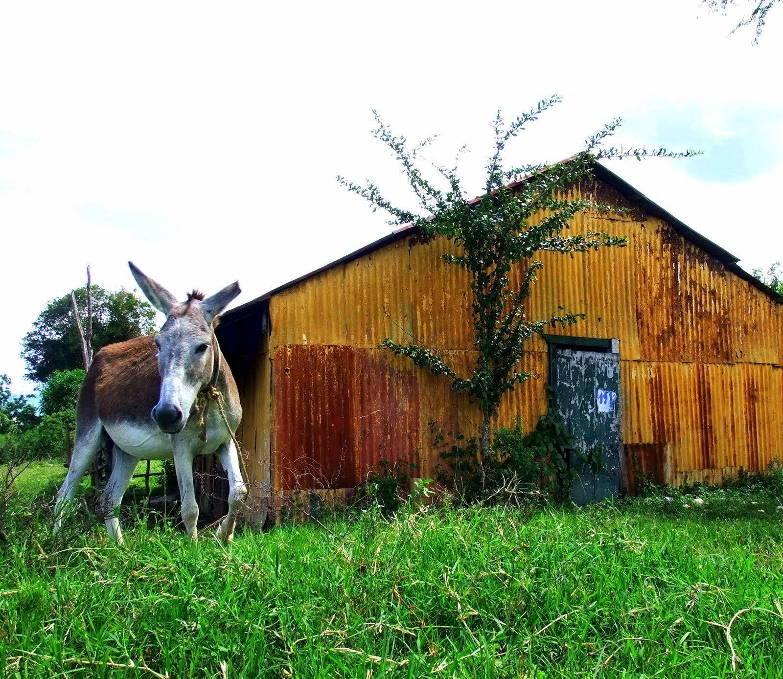 One of the homes in Los Algodones